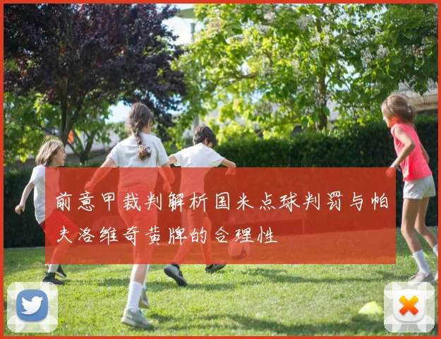前意甲裁判解析国米点球判罚与帕夫洛维奇黄牌的合理性
